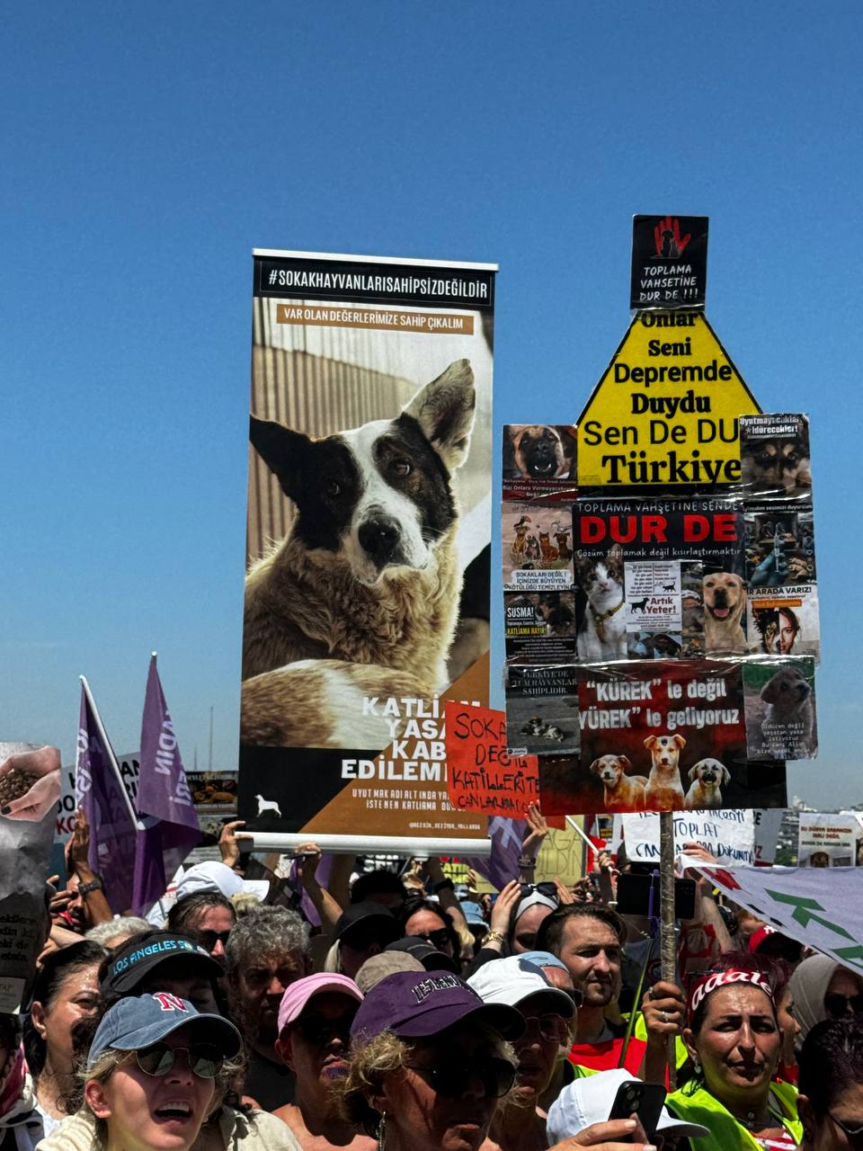 Mitingten bir kare / AA