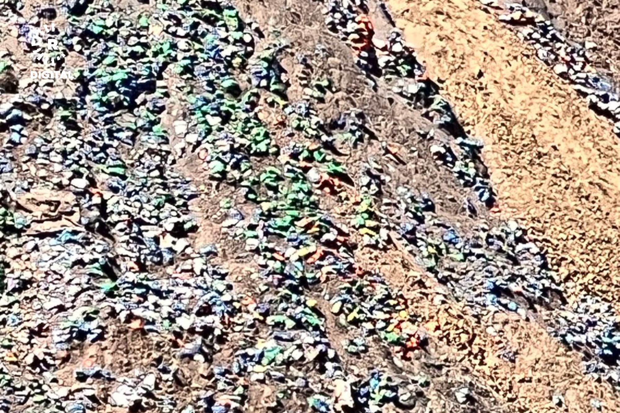 Xwezaya Şemzînanê tê pîskirin Xwezaya Şemzînanê tê pîskirin