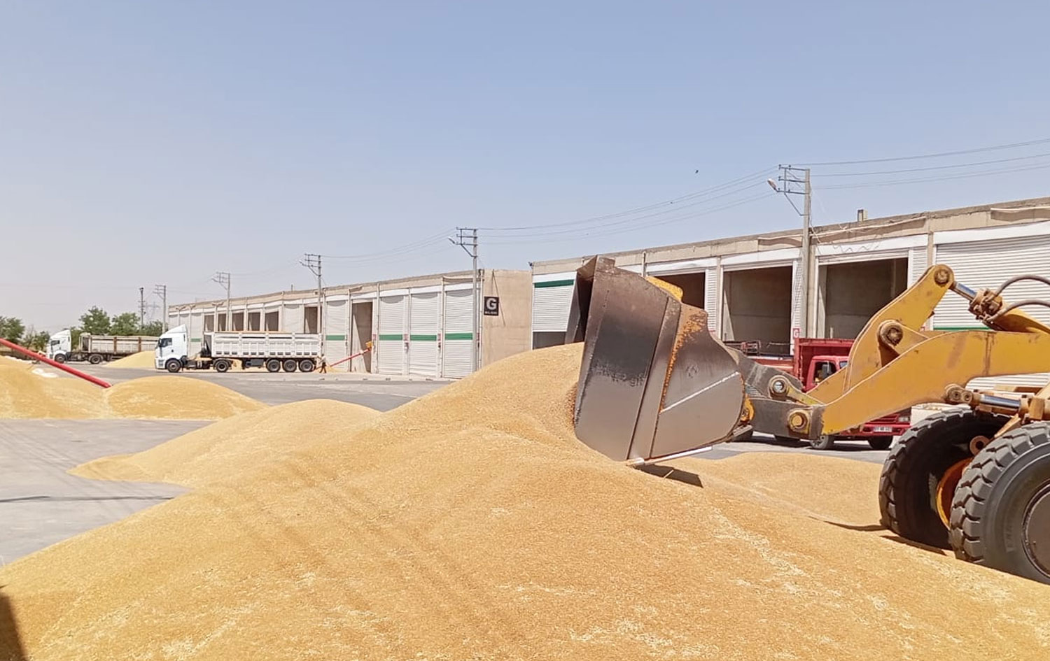 Bazara genim / Wêne: Rûdaw