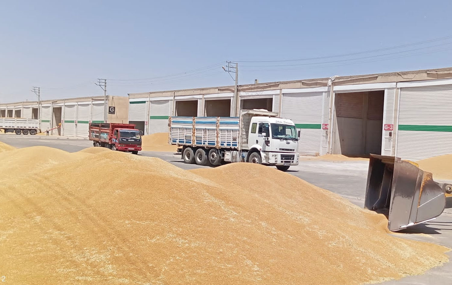 Bazara genim / Wêne: Rûdaw