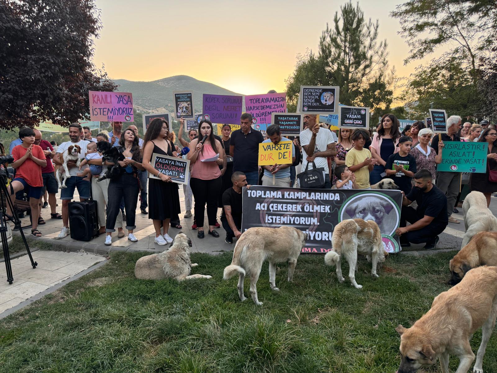 Foto: Ali Haydar Gözlü / Rûdaw