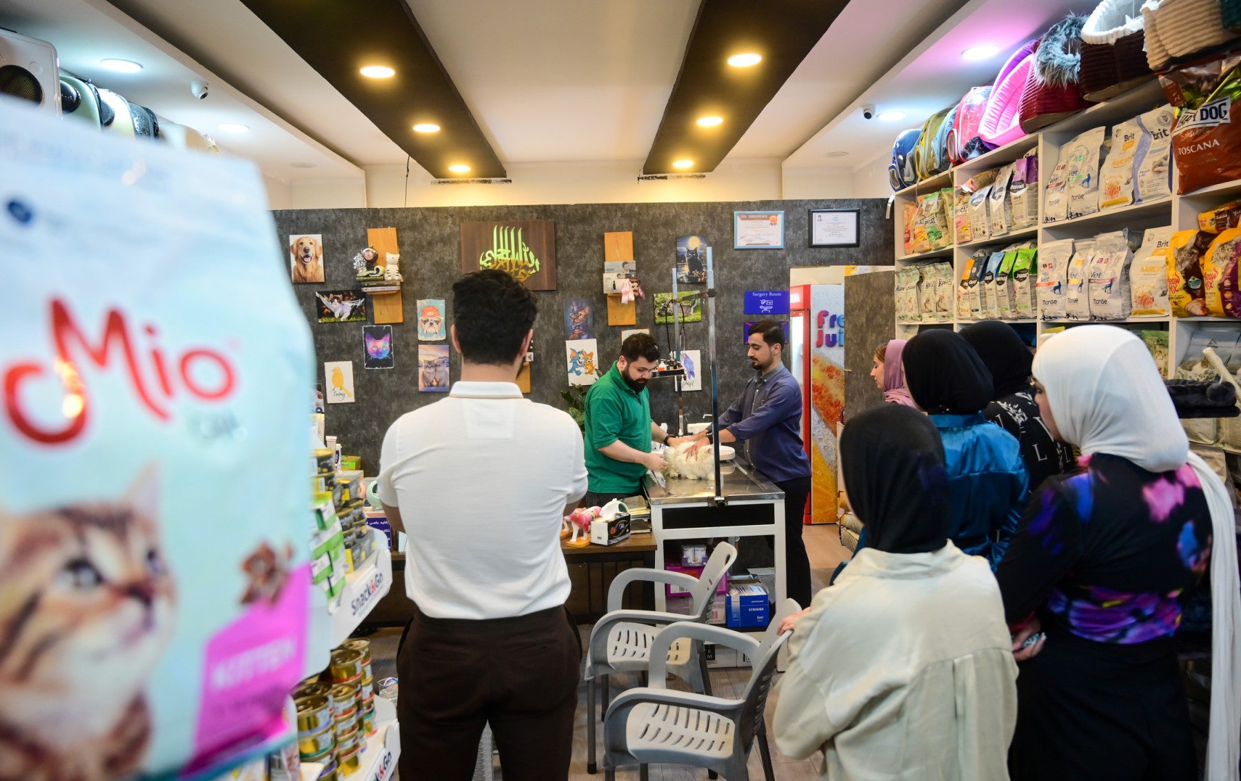 بەخێوکەرانی پشیلە پێداویستییەکانیان دەکڕن. وێنە: بڵند تاهیر - رووداو