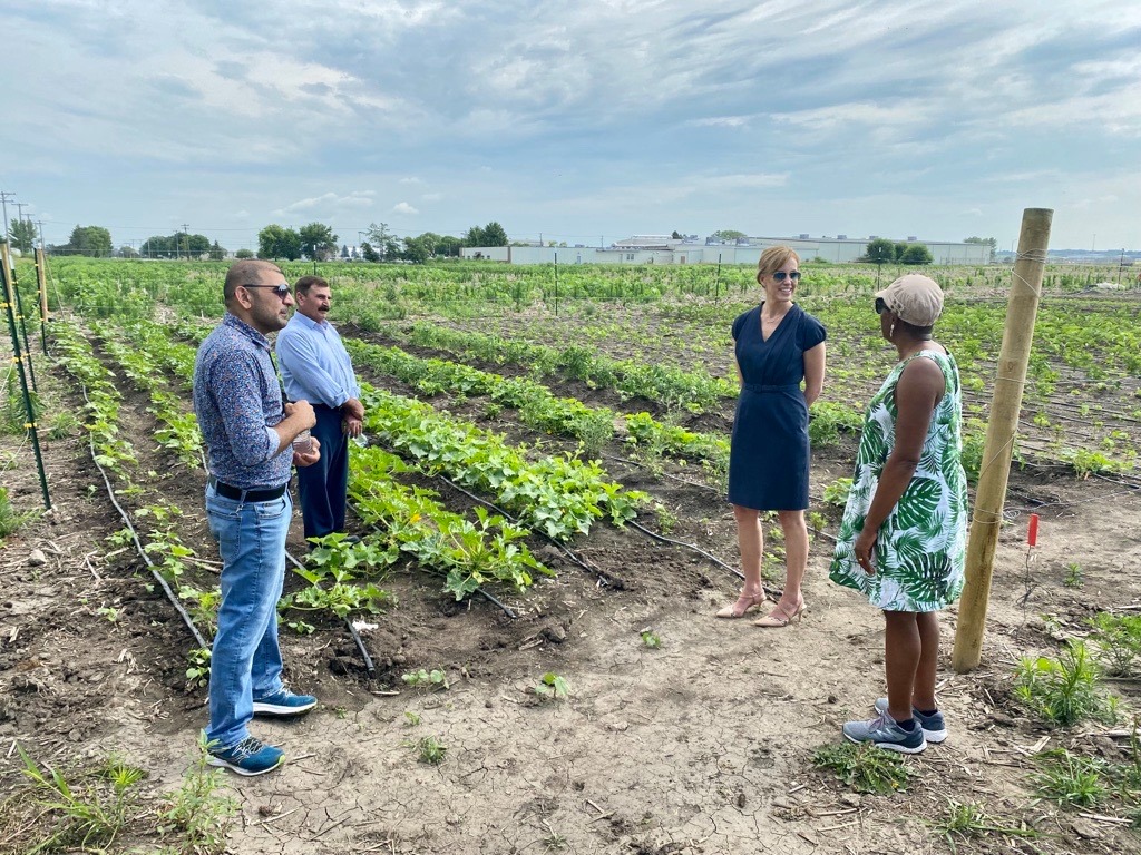 Lincoln Mayor Leirion Gaylor Baird (2nd from right) visits Shahab Bashar (1st from left) and other Yazidi farmers in the town on July 10, 2021. Photo: Leirion Gaylor Baird/Facebook