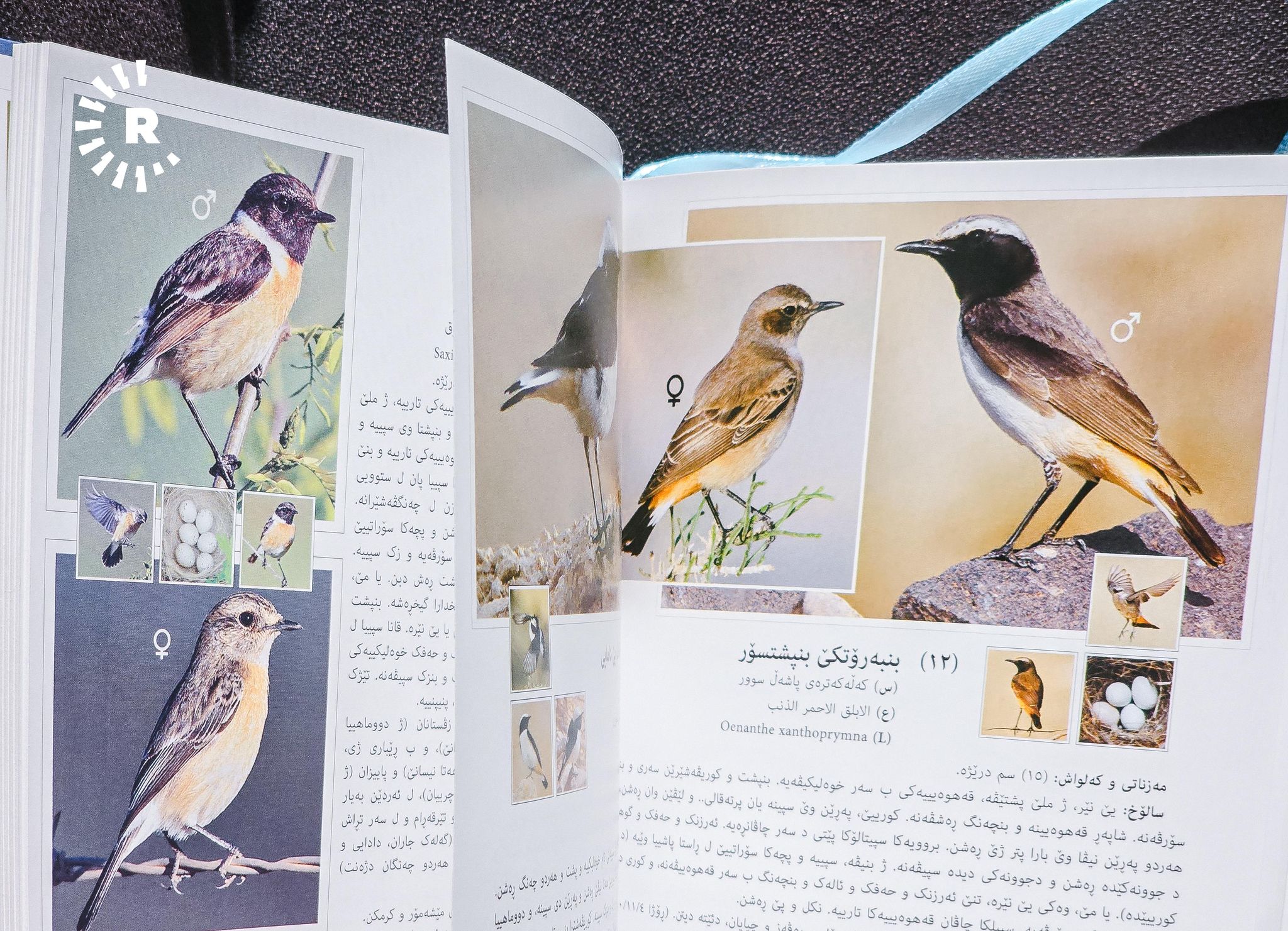 کتێبی "باڵندەکانی کوردستان". وێنە: بڵند تاهیر