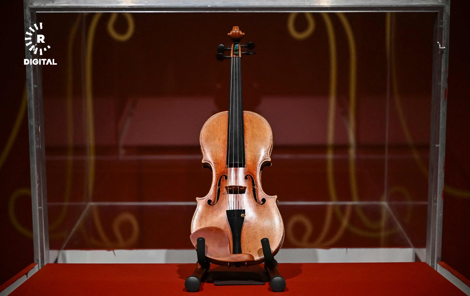 ئامادەکردنی ڤایۆلێنی سترادیڤەریەس بۆ زیادکردنی ئاشکرا. وێنە: AFP