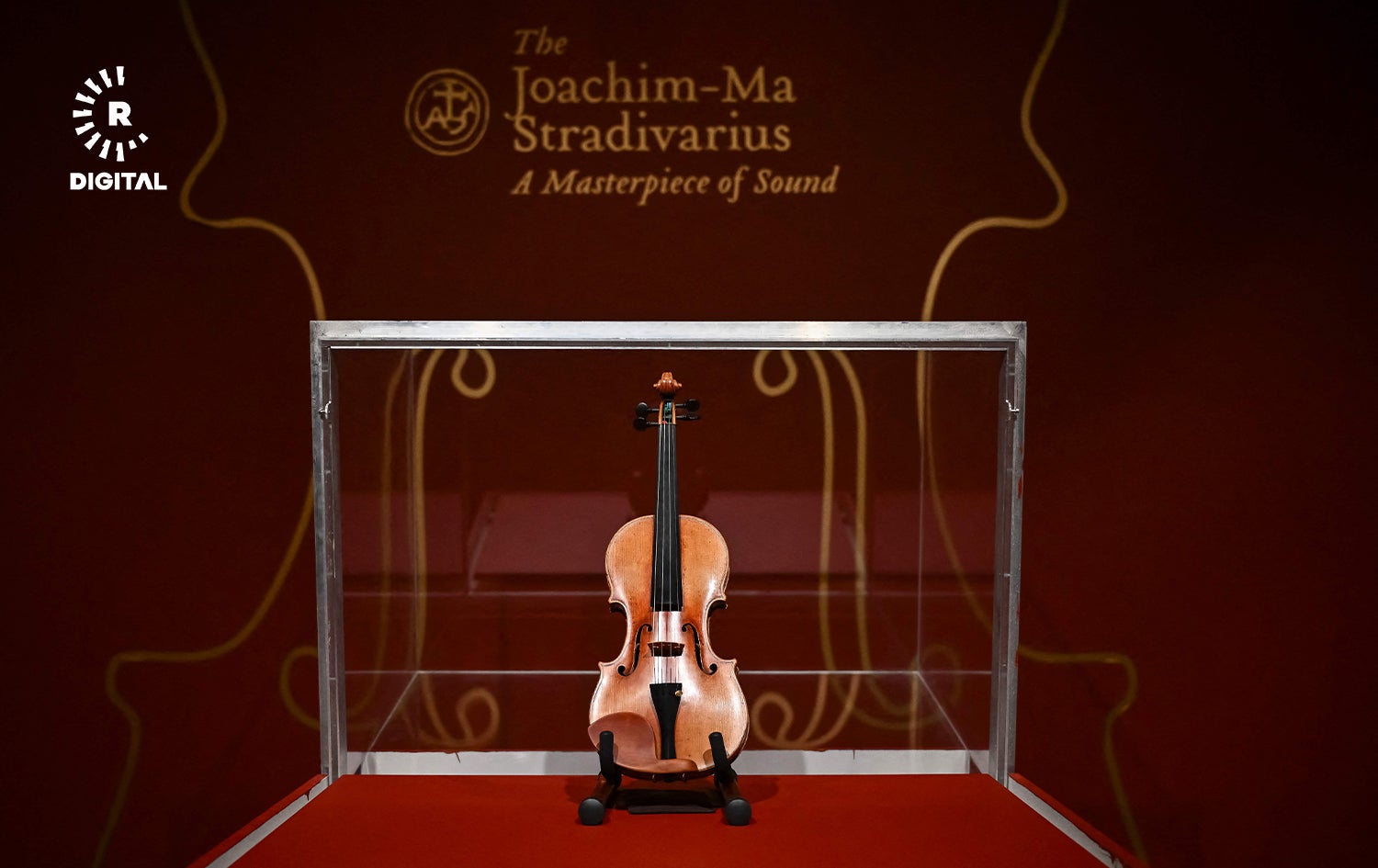 ئامادەکردنی ڤایۆلێنی سترادیڤەریەس بۆ زیادکردنی ئاشکرا. وێنە: AFP