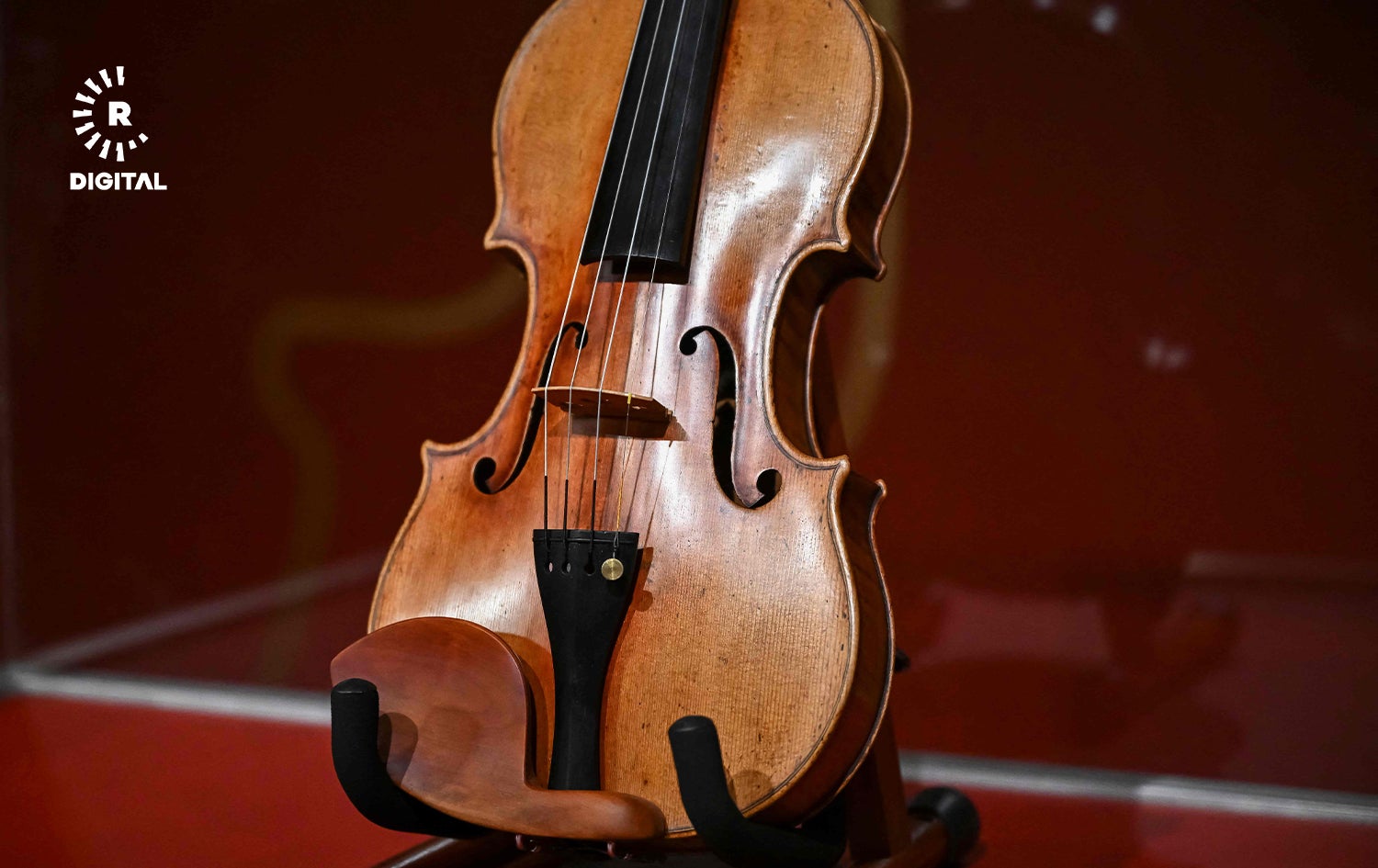 ئامادەکردنی ڤایۆلێنی سترادیڤەریەس بۆ زیادکردنی ئاشکرا. وێنە: AFP