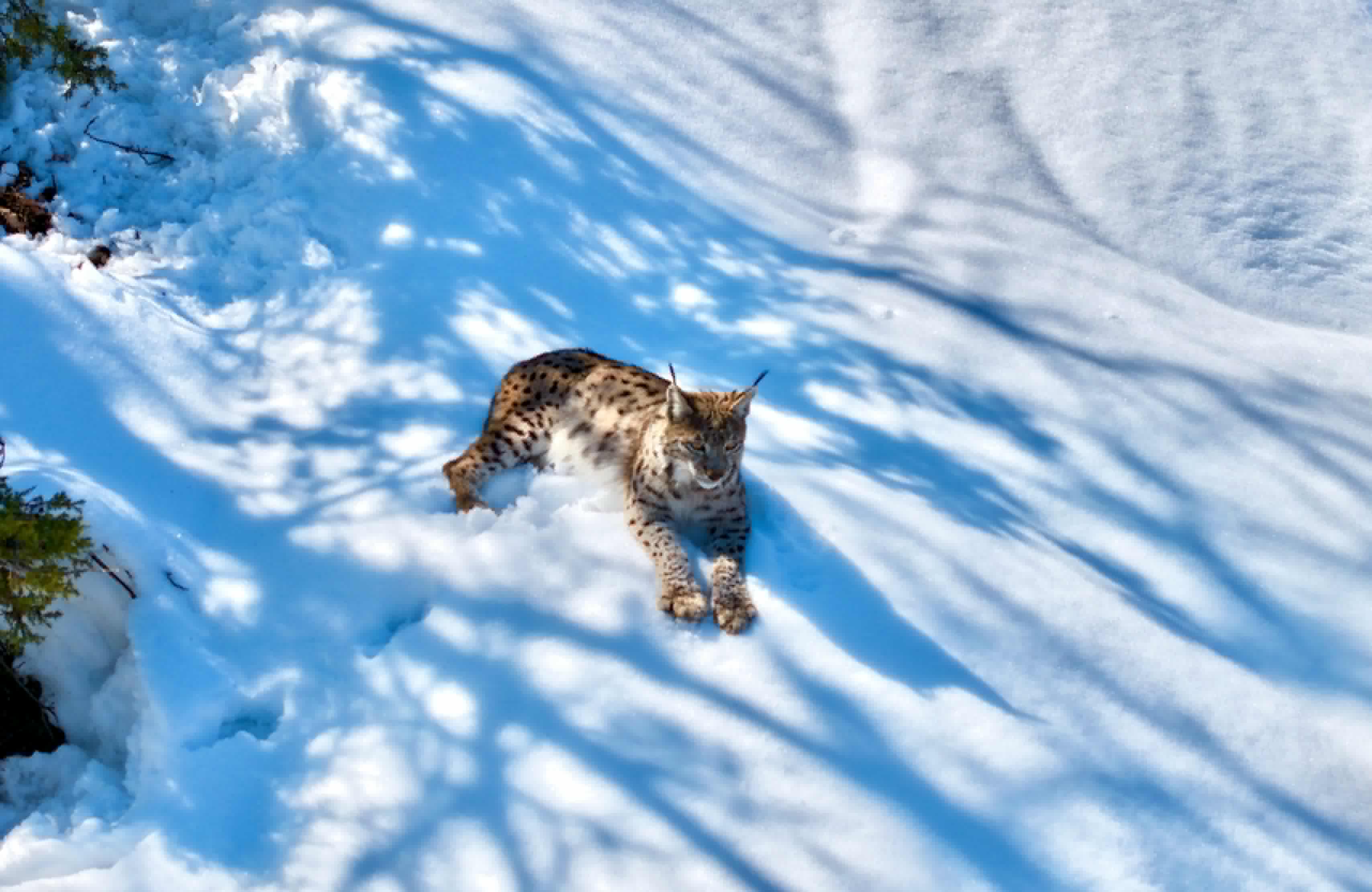 Foto: Ali Haydar Gözlü / Rûdaw