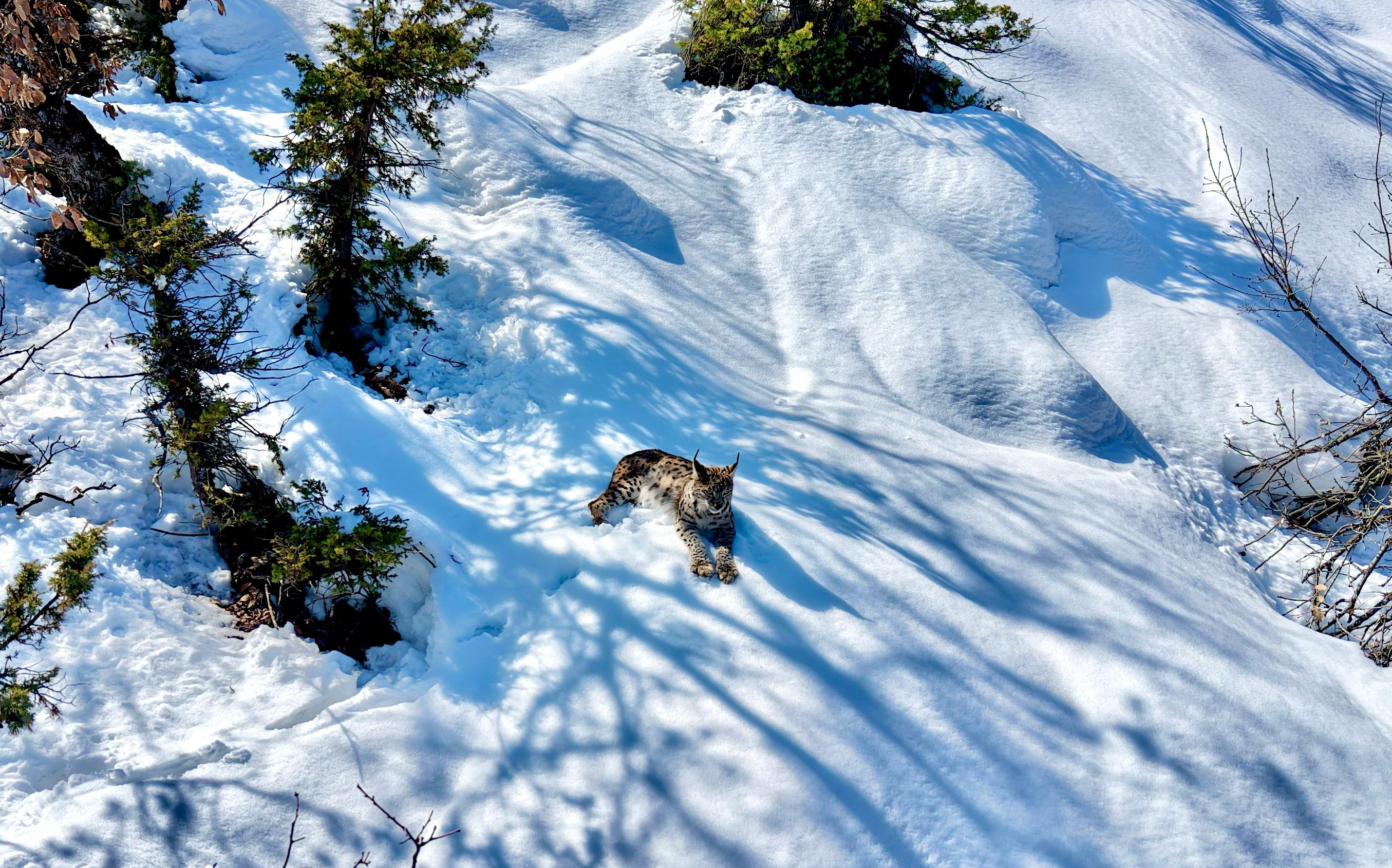 Foto: Ali Haydar Gözlü / Rûdaw