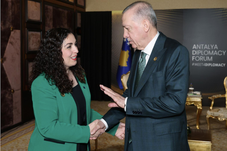 Kosova Cumhurbaşkanı Osmani, Erdoğan ile bir araya geldi / Fotoğraf: AA