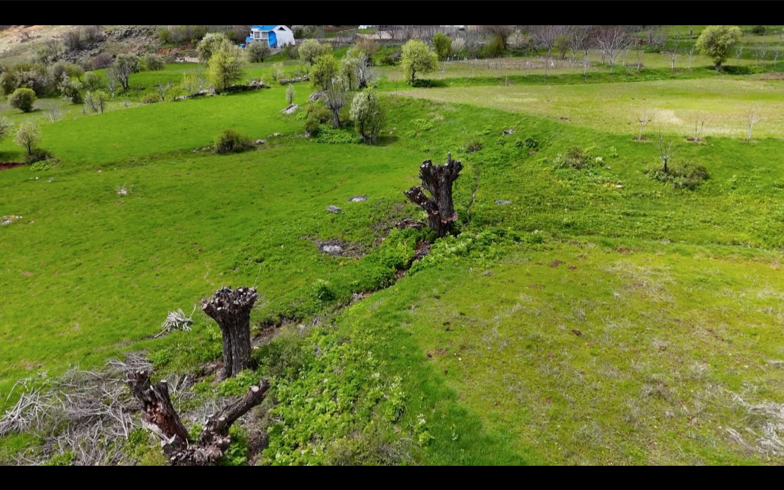 Foto: Ali Haydar Gözlü/Rûdaw