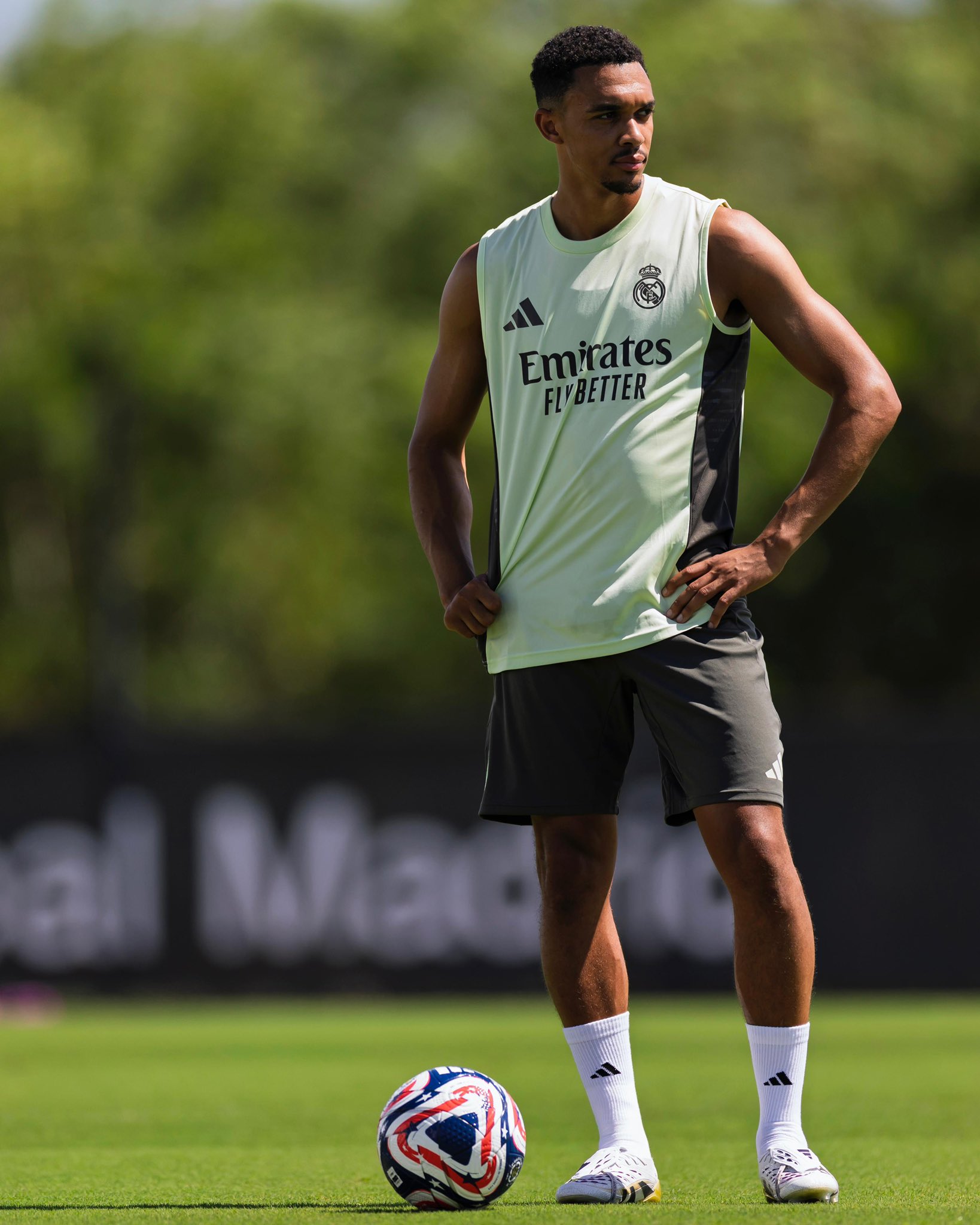 ئەلیکساندەر ئارنۆڵد