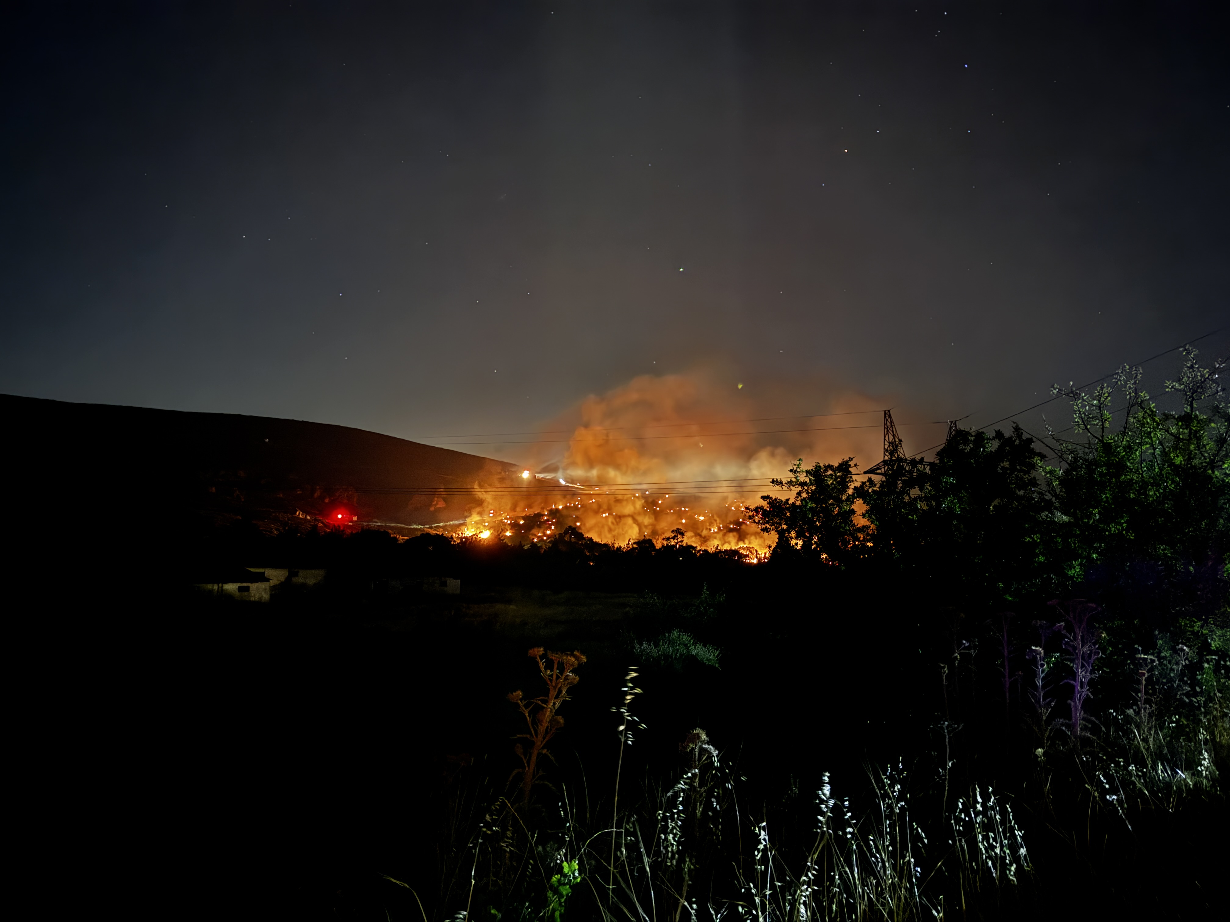 İzmir'deki orman yangını çıktı. / AA