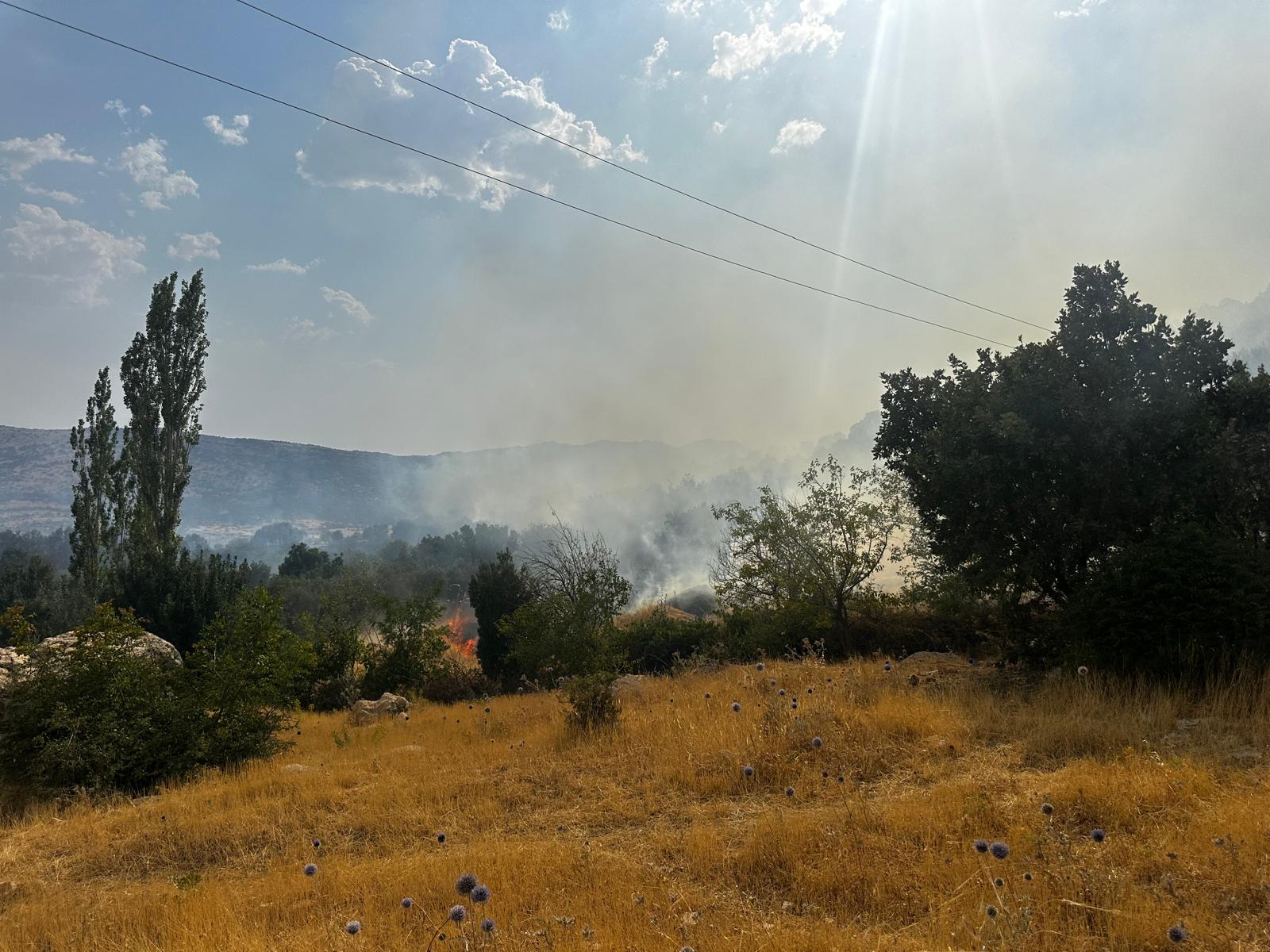 Diyarbakır'ın Lice ilçesi kırsalında ormanlık alanda çıkan yangına müdahale ediliyor. / AA