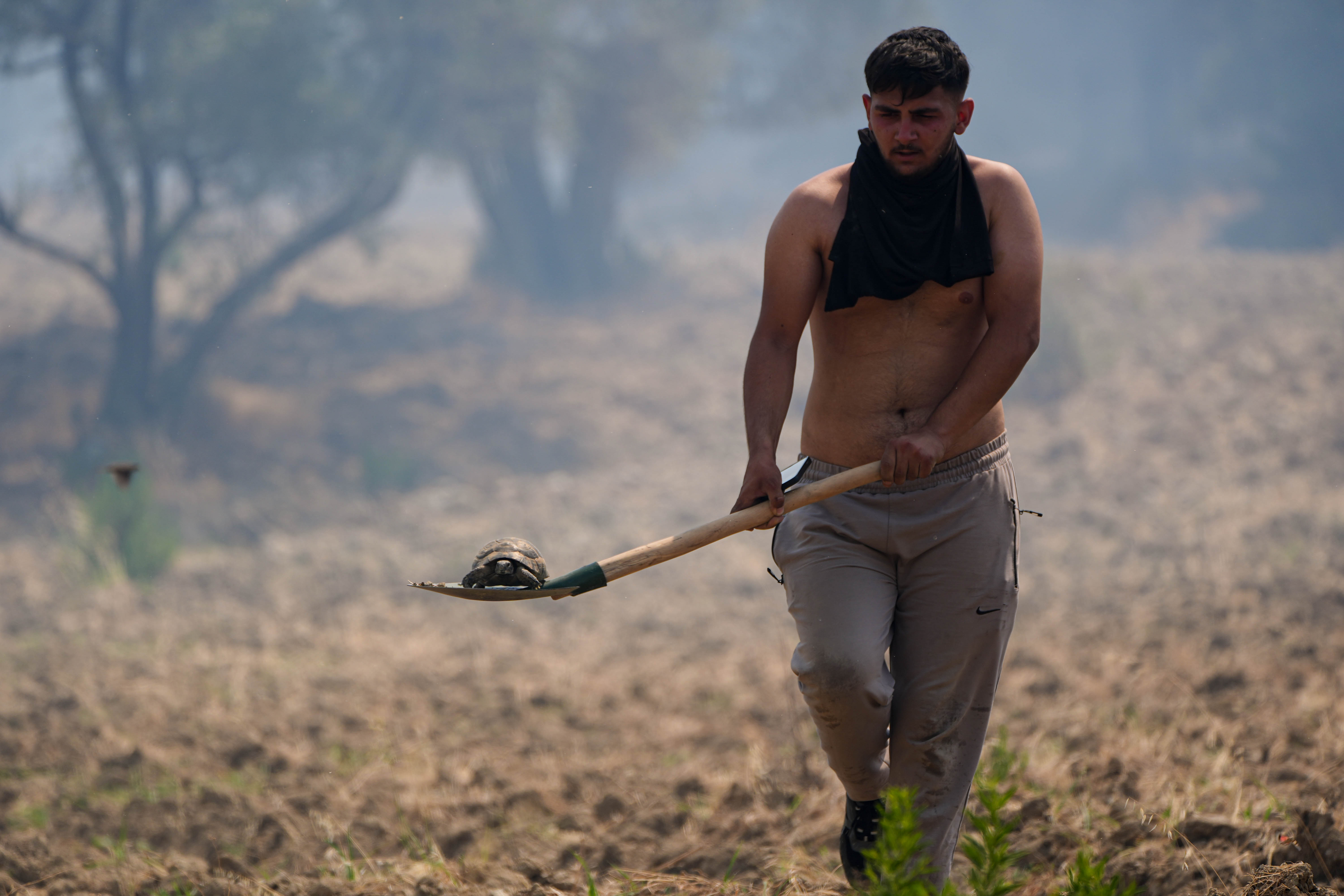 Vatandaşlar alevlerin arasında kalan hayvanları kurtardı. / AA