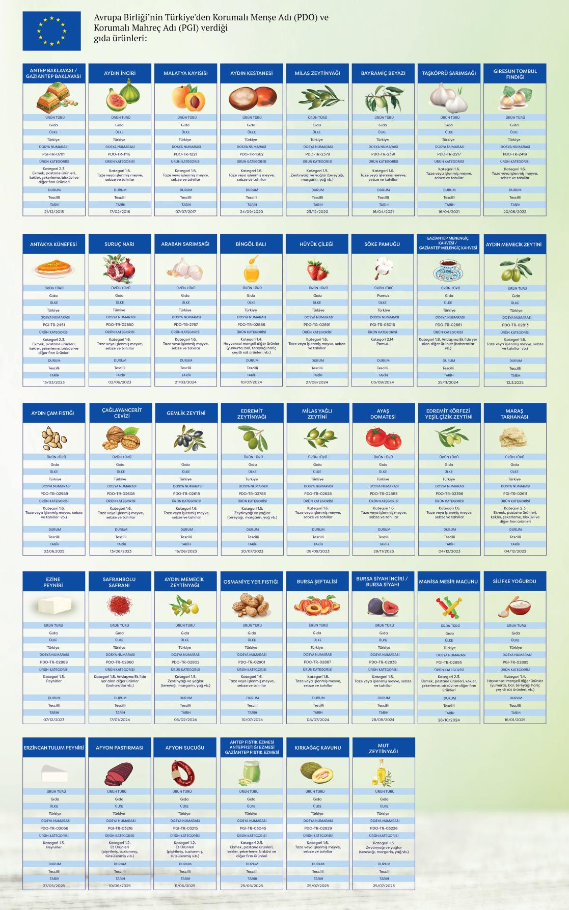 Foto: Avrupa Birliği Türkiye Delegasyonu
