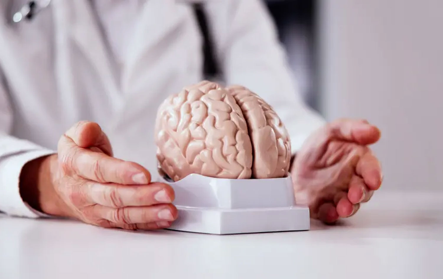 Berdana ba ji bo Alzheimerê baş e /Andrey Popov – stock.adobe.com