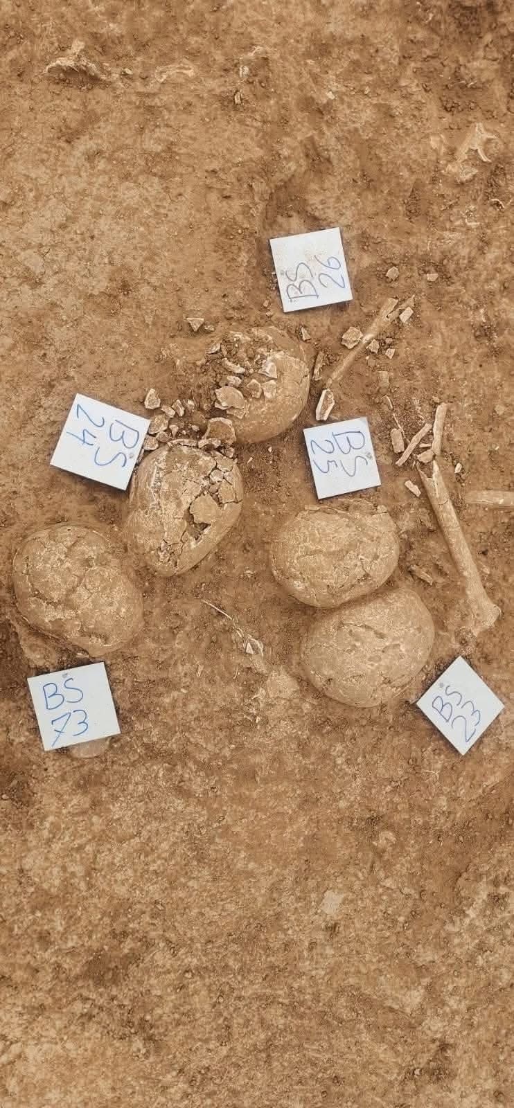 Gora hatiye dîtin Gora hatiye dîtin