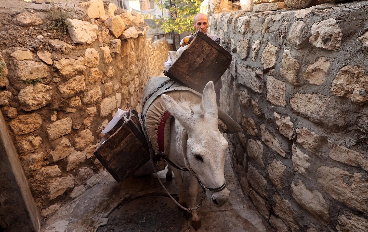 A municipal employee guiding a donkey collects garbage in the old city of Mardin, southeastern Turkey, on October 20, 2021. Photo: Adem Altan/AFP