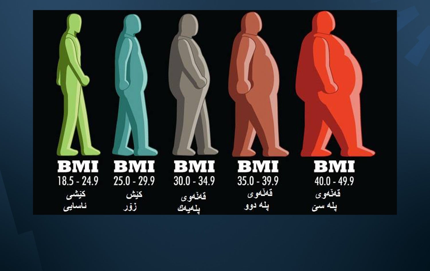 رێژەکانی پێوانەی بارستەی جەستە و ماناکانیان