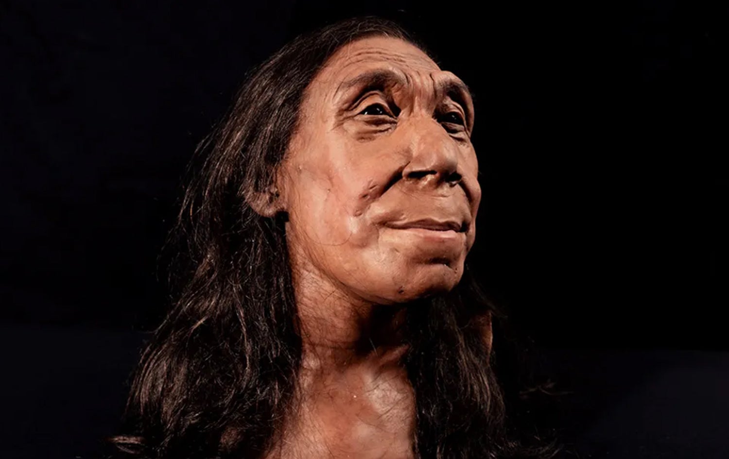 نەنە شانەدەر - وێنەی نموونەیی بۆ مرۆڤی جۆری (نیاندەرتاڵ - Neanderthal)