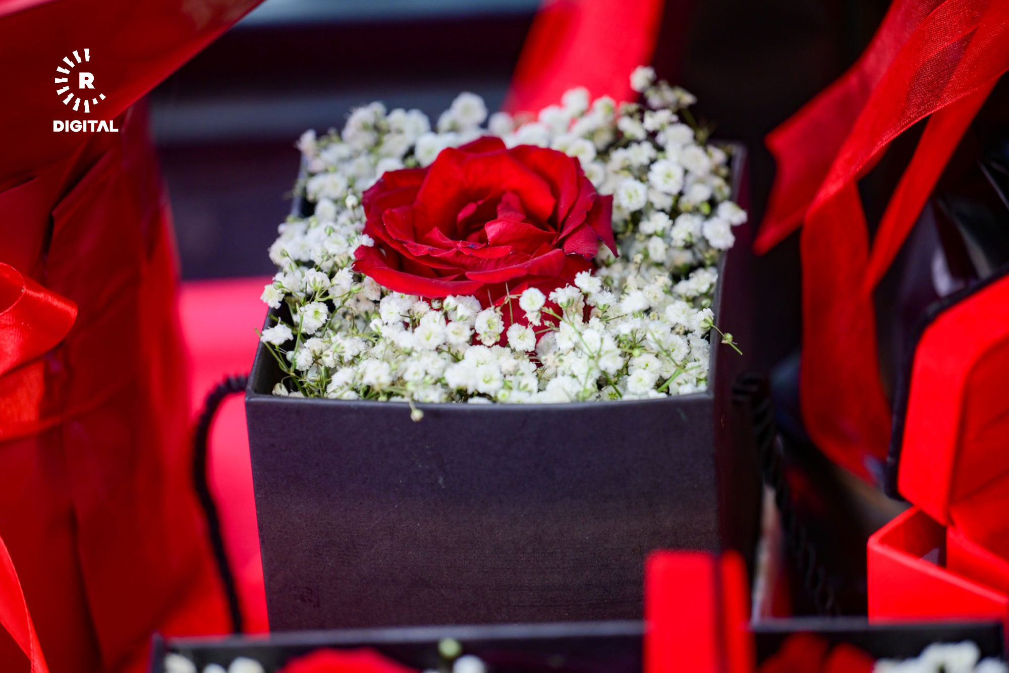 ورد في انتظار من يشتريه/ بلند طاهر-رووداو