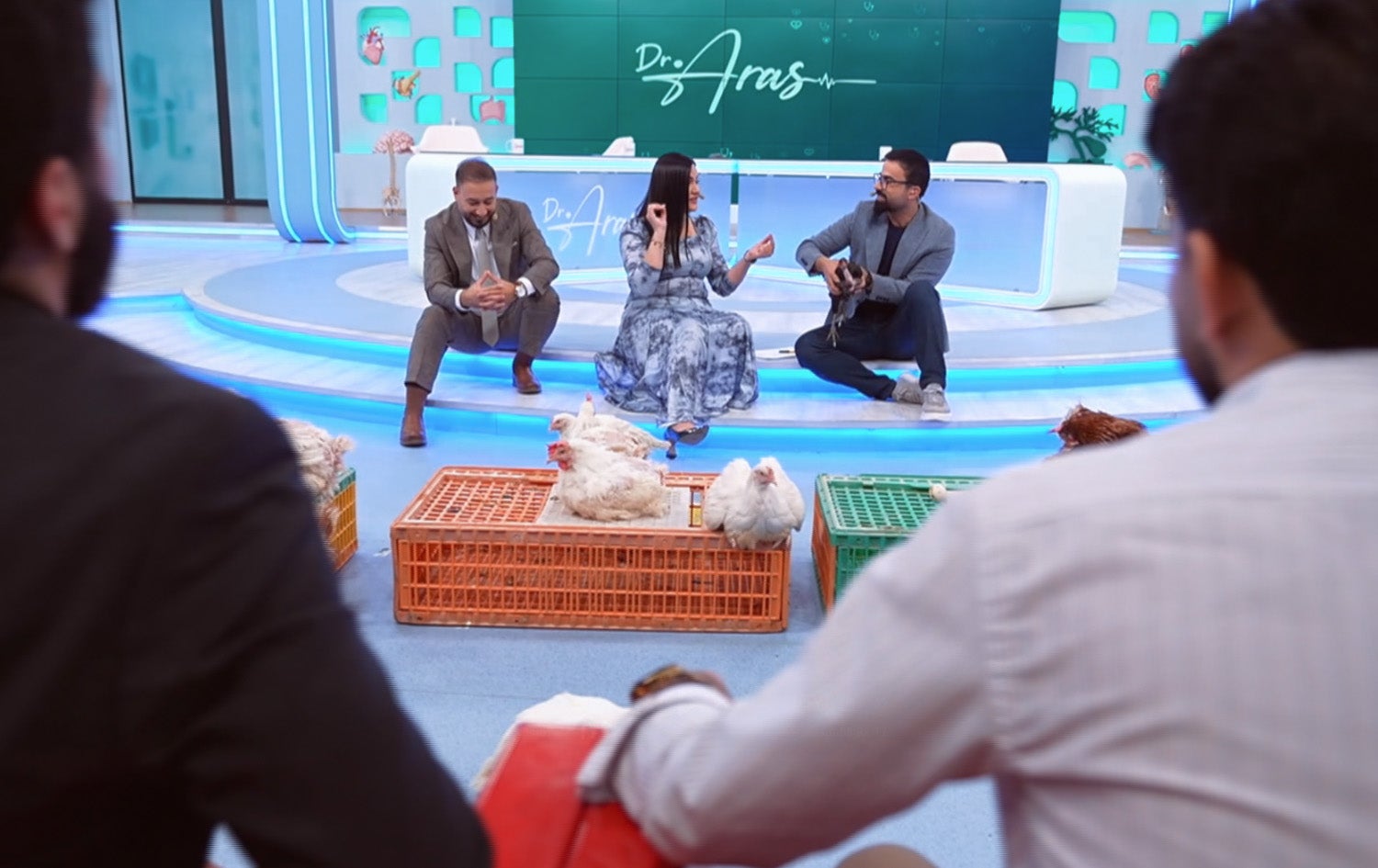 مریشکی بازاڕەکان تەندروست نییە و بە حەڵاڵی سەر نەبڕدراوە