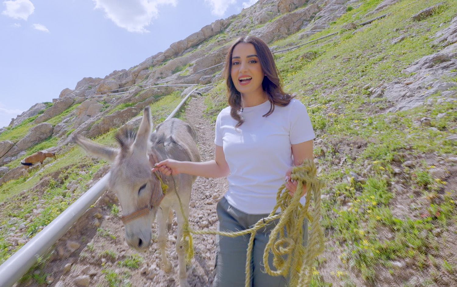 ماڵی و کێوی - گوێدرێژ