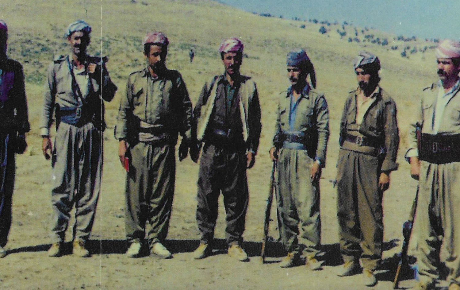 باکوور لە گوڵان دا