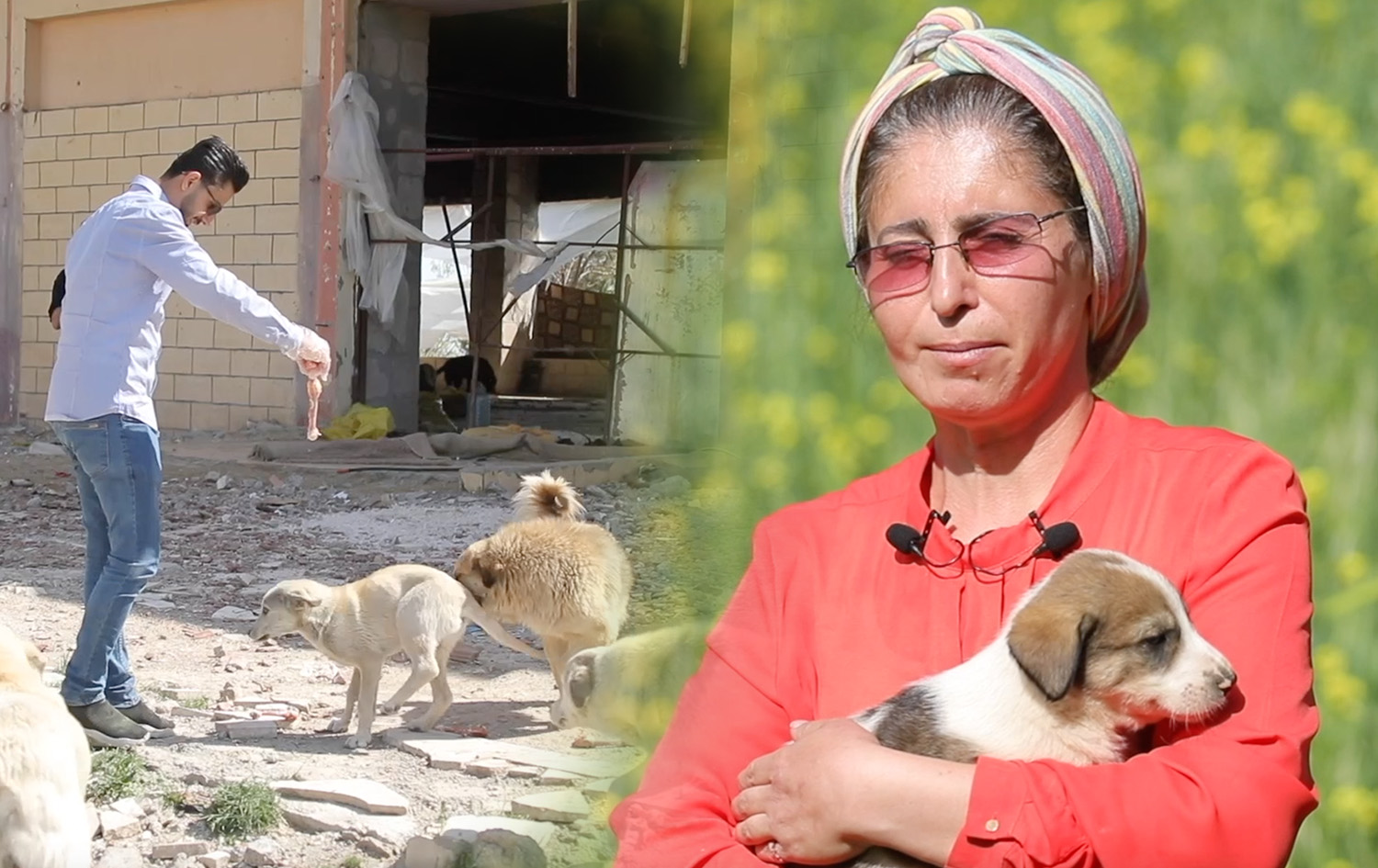 چاوی رووداو