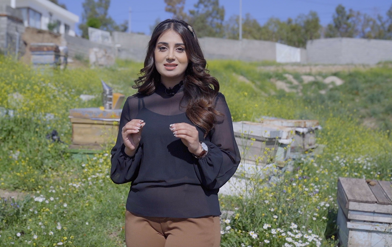 ماڵی و کێوی - هەنگ