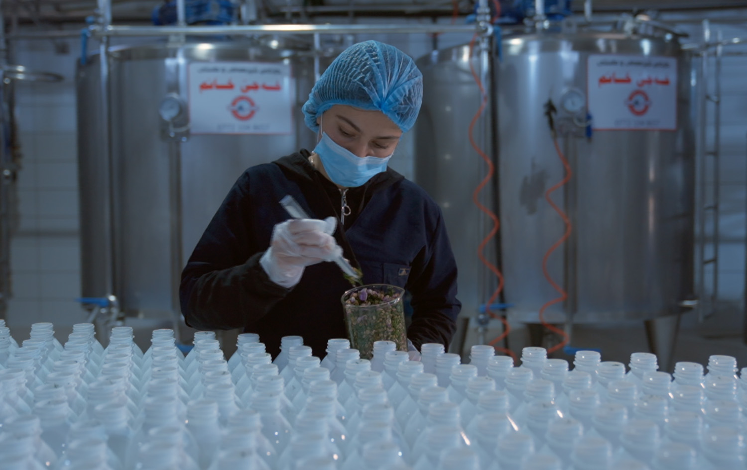 مەید ئین کوردستان