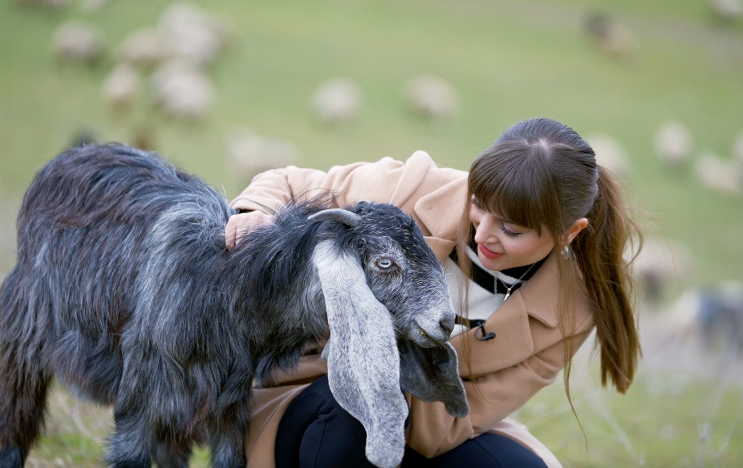 Gerani Kani - Kane La Gunde Dren Shekh
