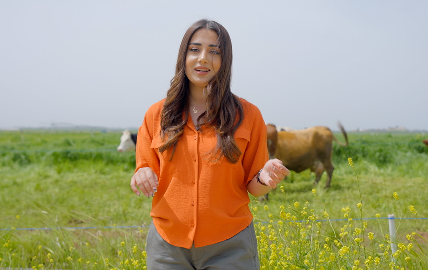 ماڵی و کێوی - مانگا