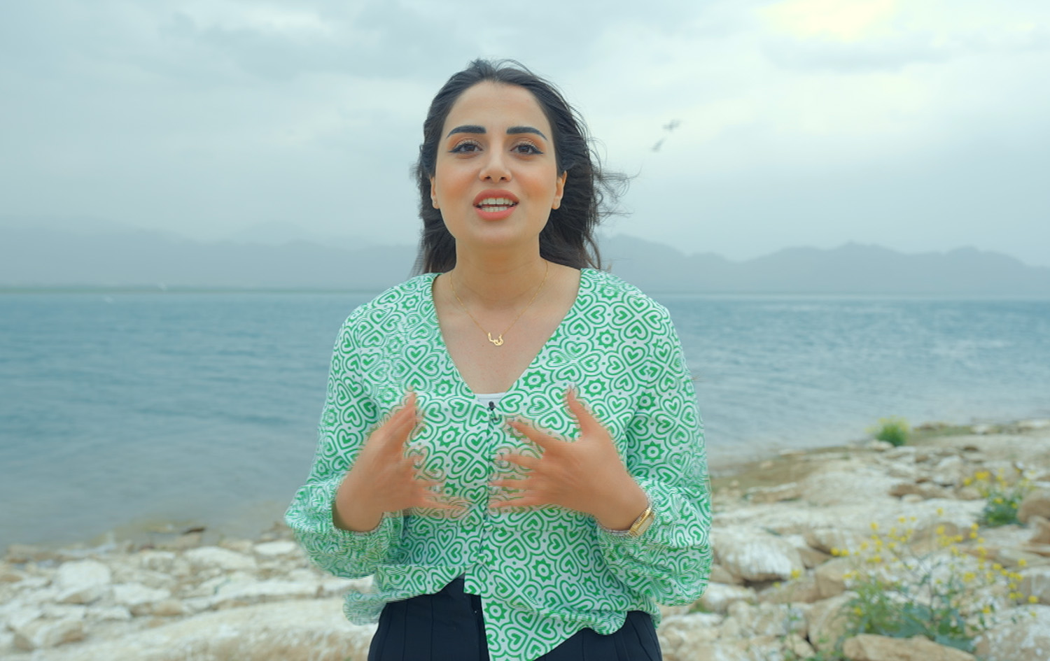 ماڵی و کێوی - نەورەس