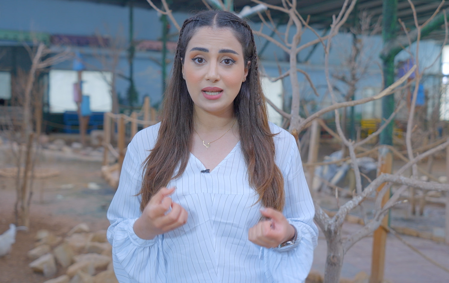 ماڵی و کێوی - باز