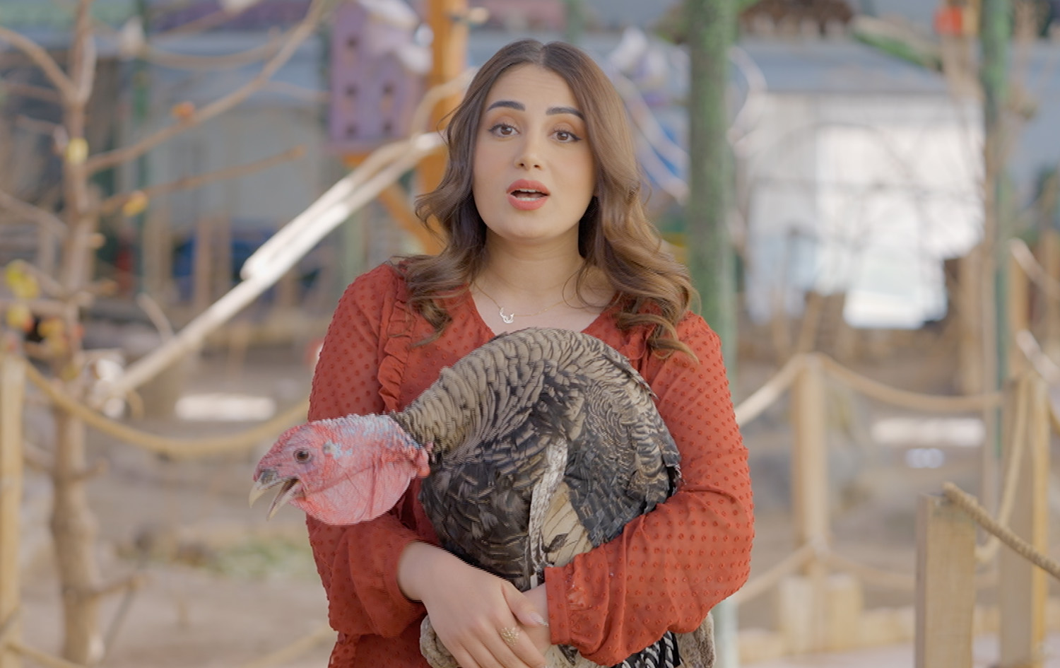 ماڵی و کێوی - قەل