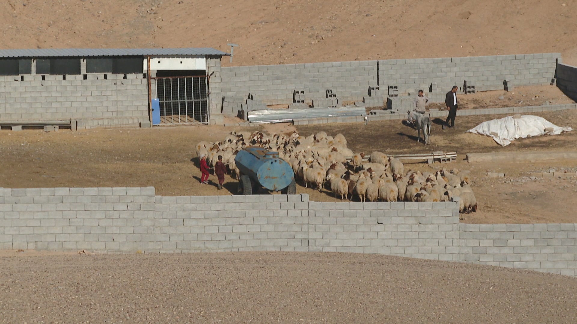 کێڵانی زەویی  'موڵکی گشتی'، ئاژەڵداریی لە گوندێکی بەردەڕەش خستووەتە مەترسییەوە