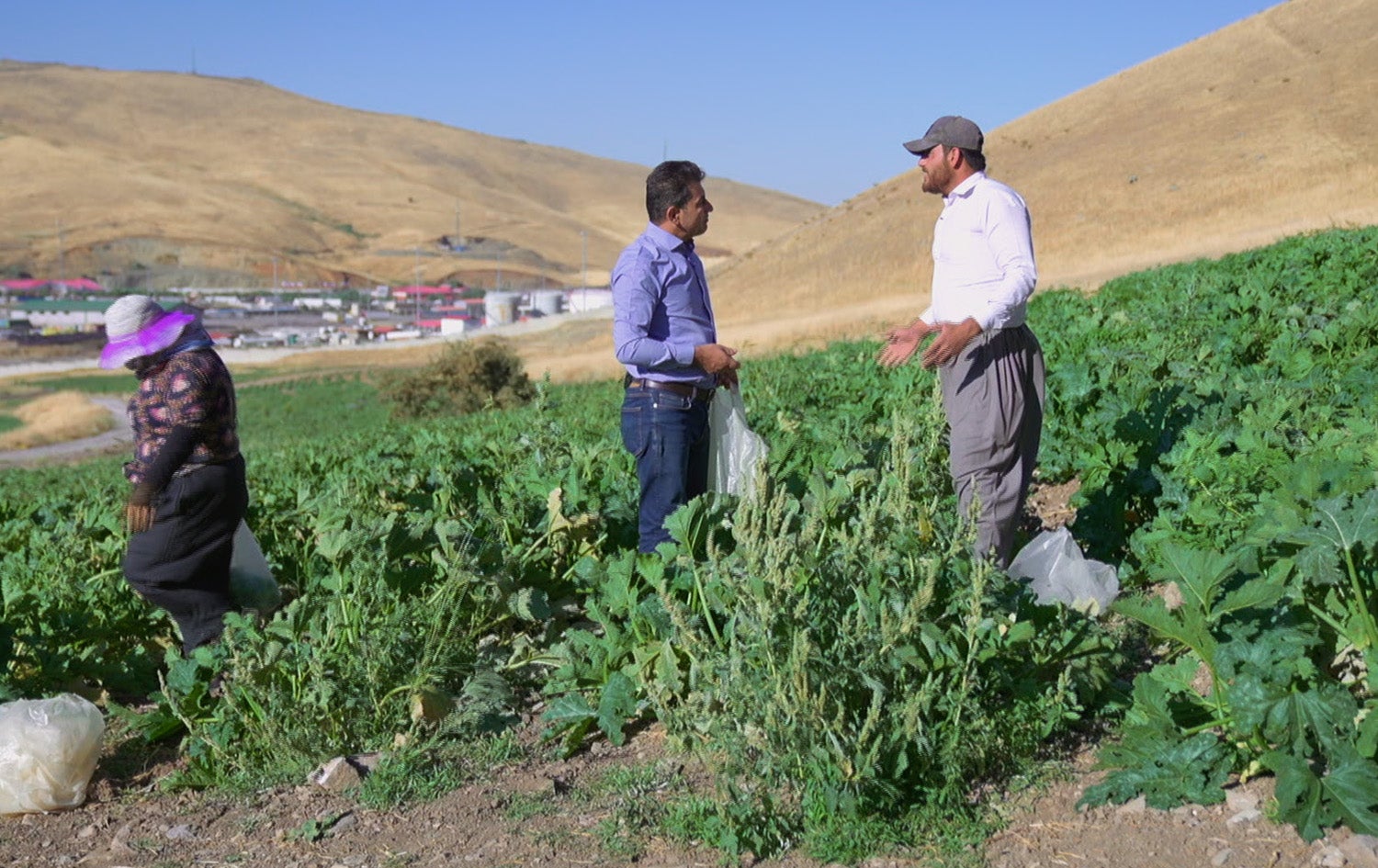 Dangi mn - Axa Baboli - Jotkar