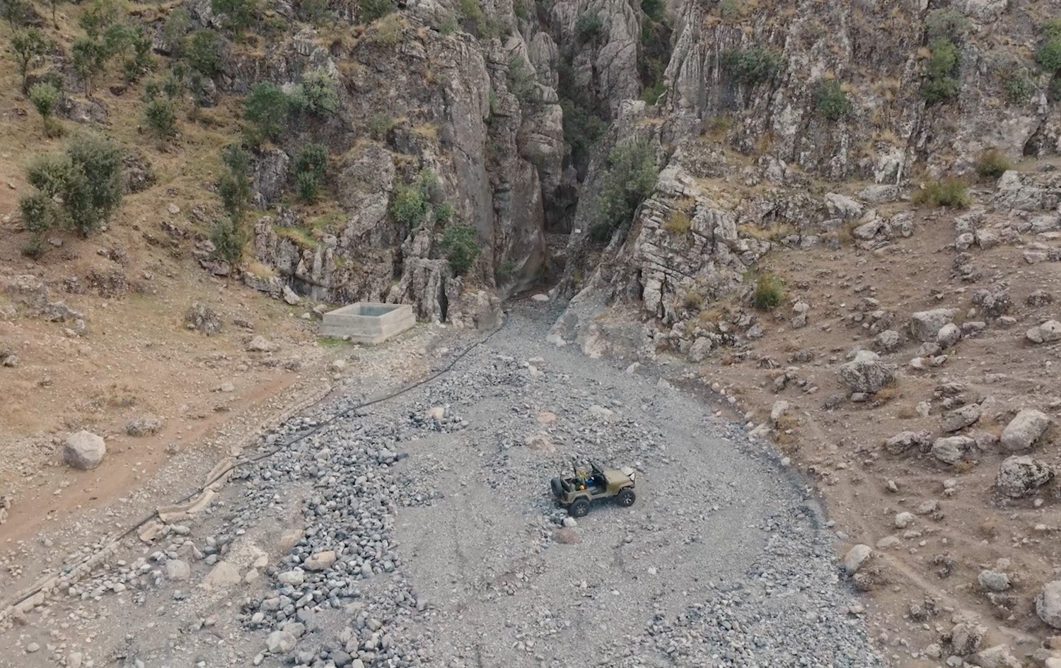 شاخ - گەلی کەڕک