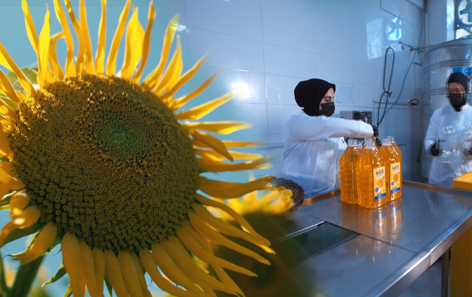 مەید ئین کوردستان