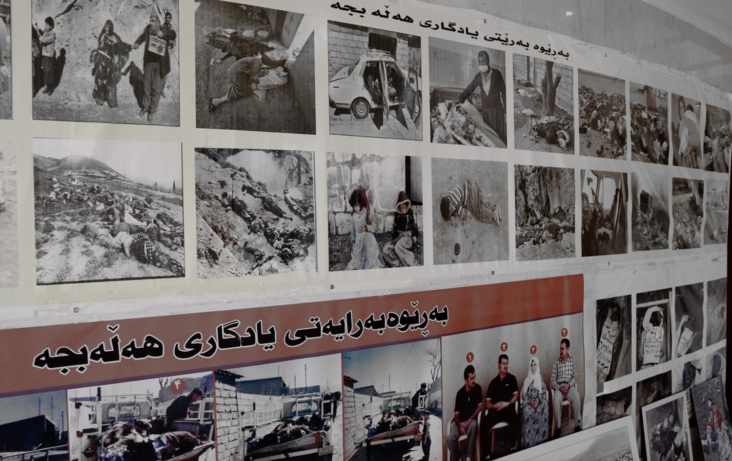 Special Report - Wnbuakany Helebje