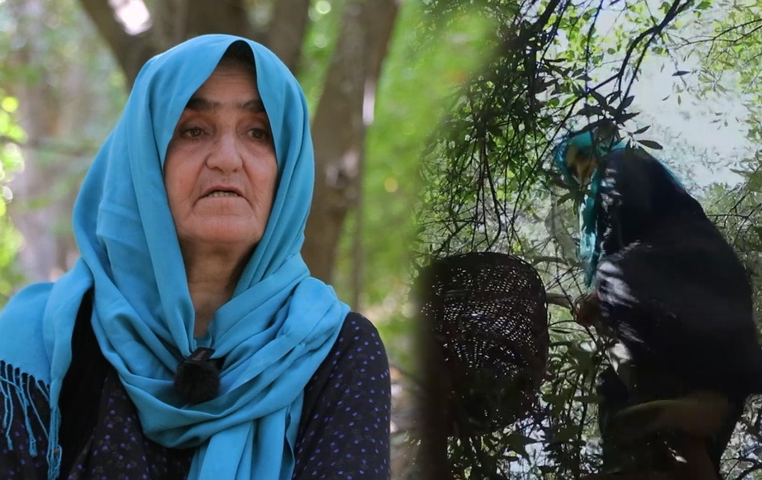 Features - Zaytuni Hirwe