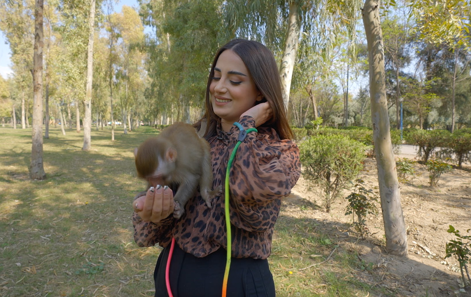 ماڵی و کێوی - مەیموون