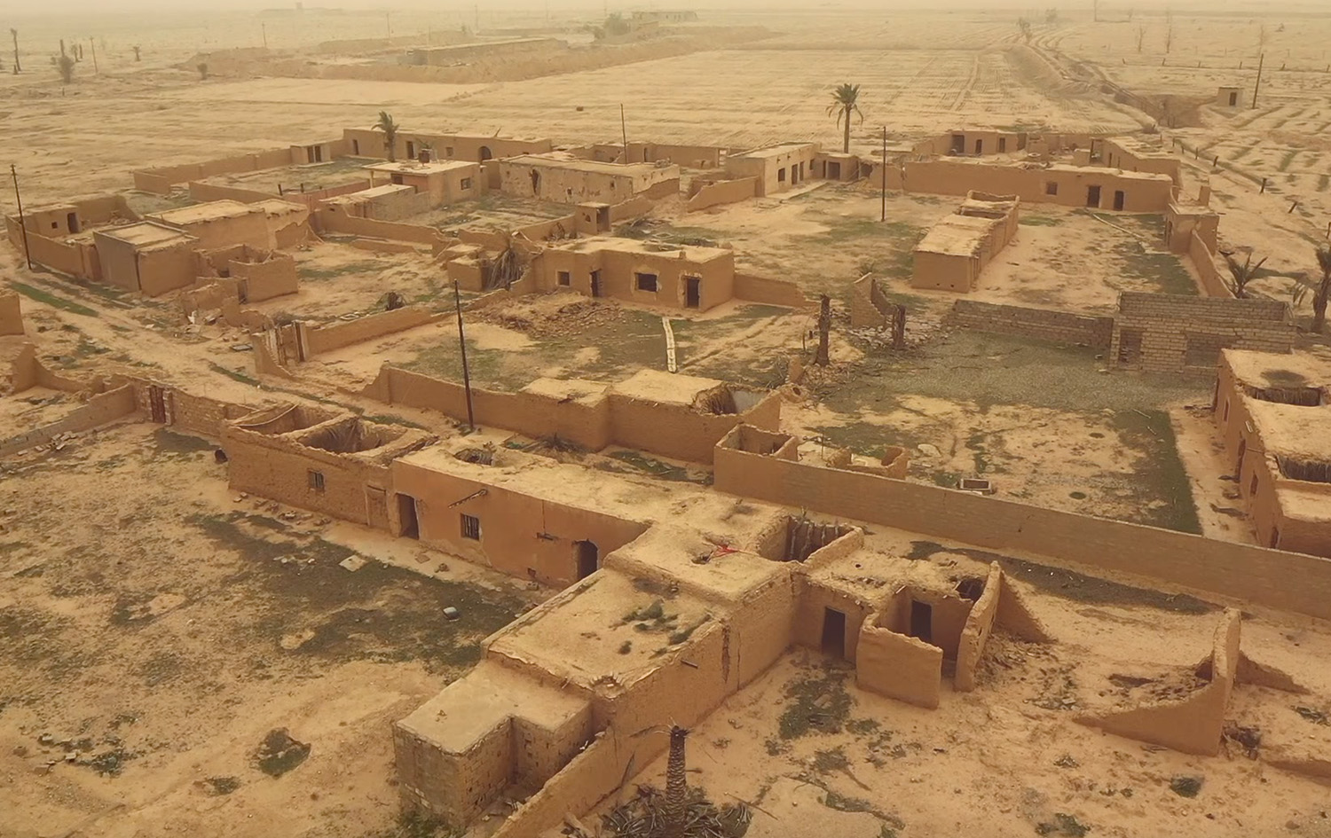 جینۆسایدی زەڕگۆشەکان