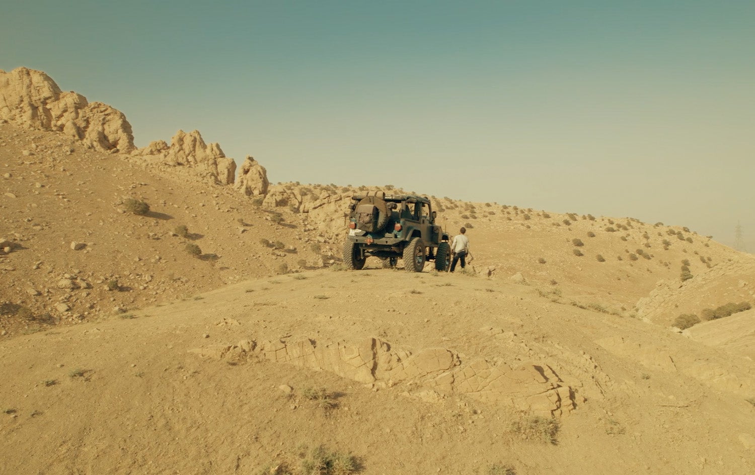 شاخ - شاخەڕەش