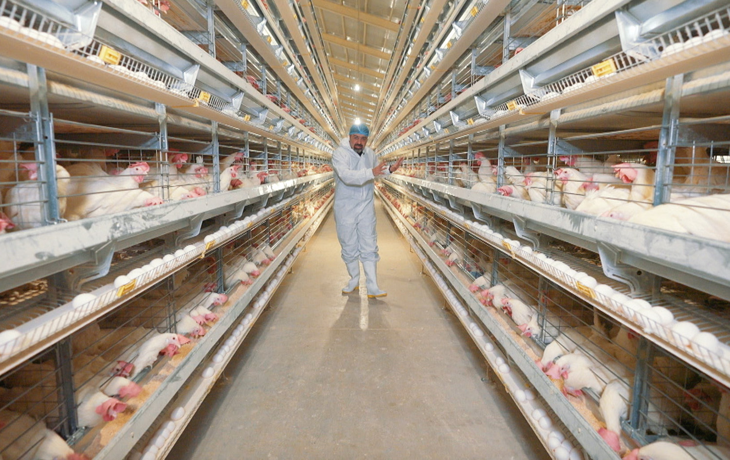 مەید ئین کوردستان