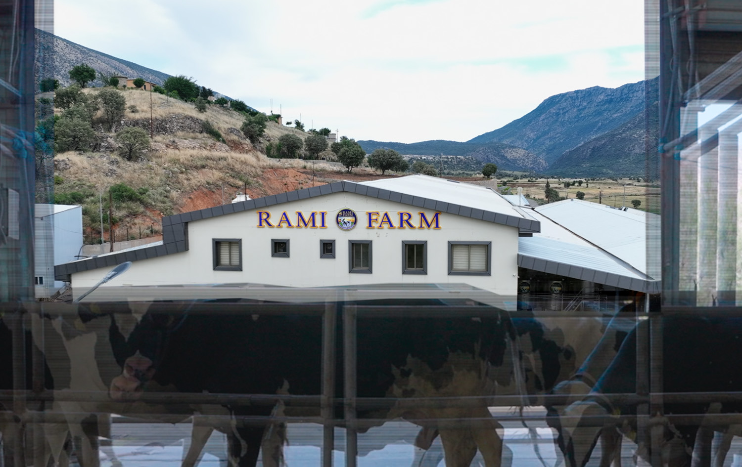 مەید ئین کوردستان