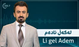 قەدەخەکردنی خواردنەوە کحولییەکان و بۆچوونی پێکھاتەکان و نیگەرانییەکانیان