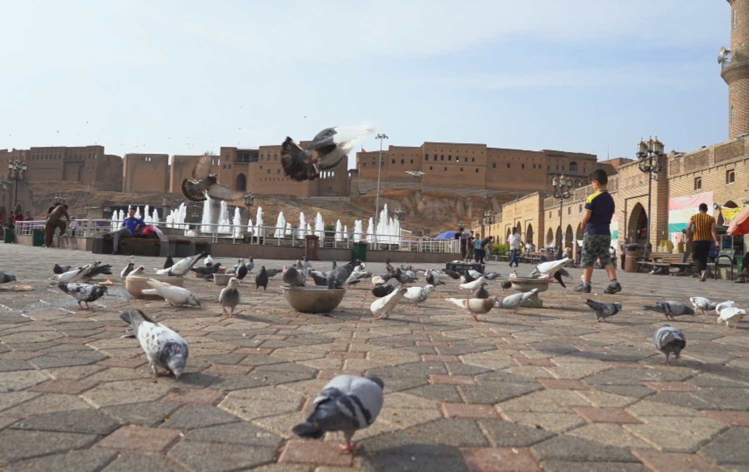 coexistence 21052020